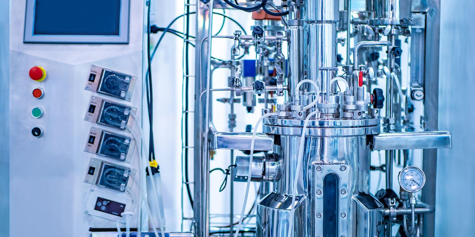 shutterstock_1368438578