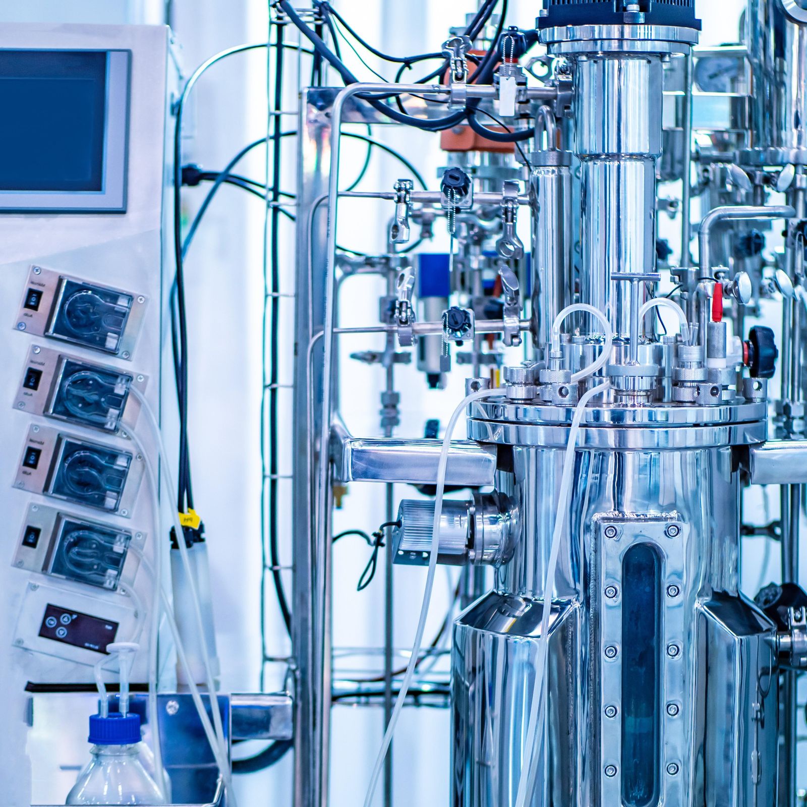 shutterstock_1368438578