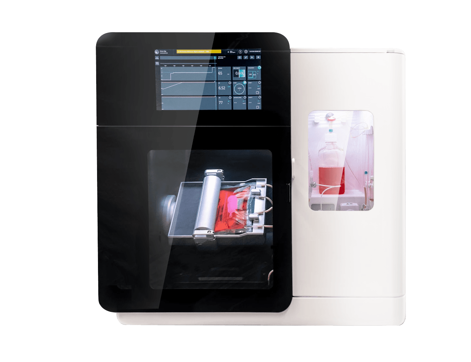 SCINUS final without background (1)